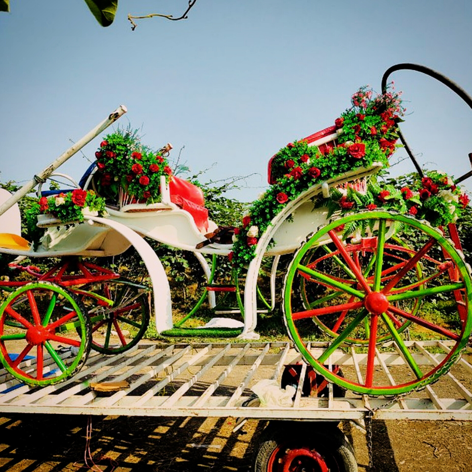 نمونه کالسکه