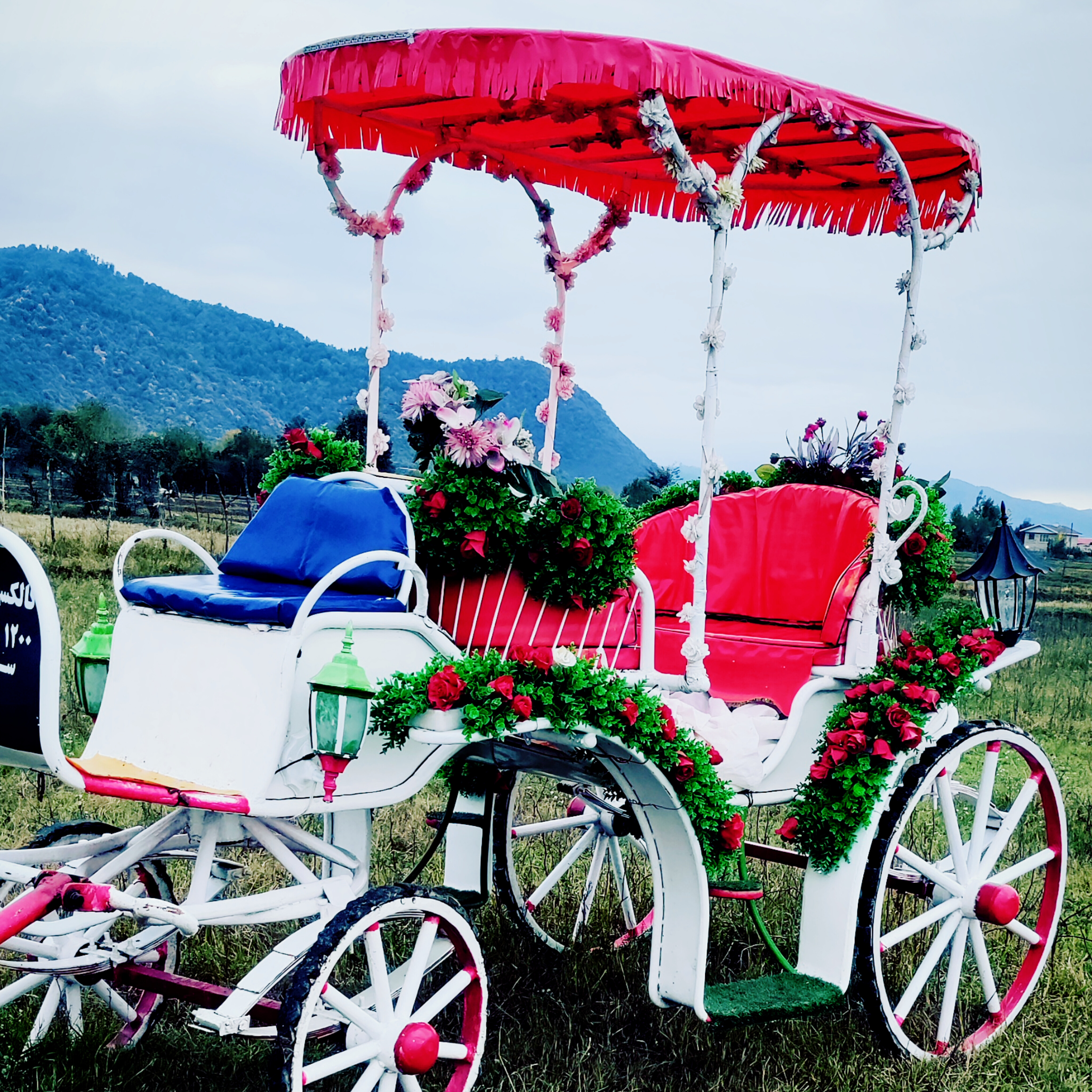 نمونه کالسکه