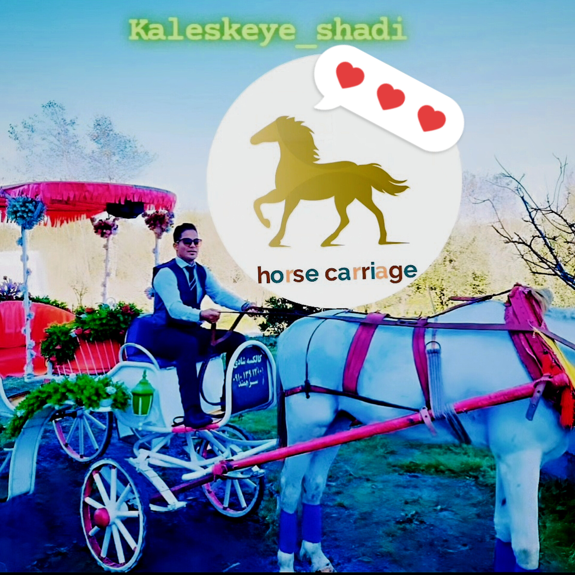 نمونه کالسکه